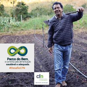 Post redes13 300x300 Pacto do Bem, a corrente pela alimentação saudável e adequada. #DesafioCFN   2015/2016