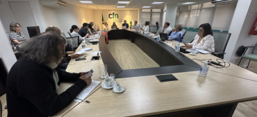 CFN sedia a 21ª Reunião da CIVS