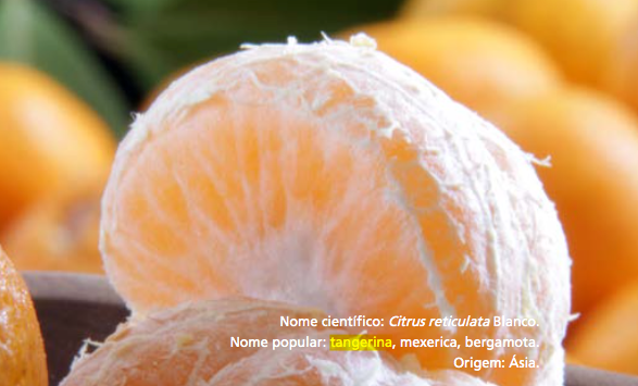Tangerina/Bergamota Tangerina/Bergamota