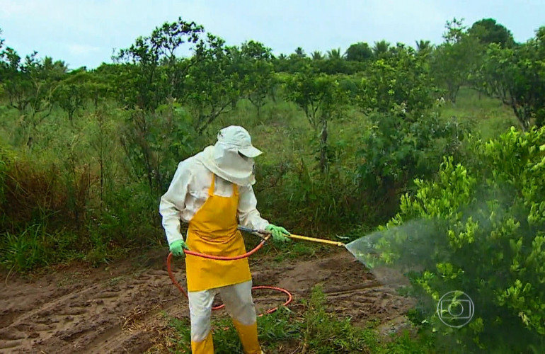 Contraf Brasil diz que defender PL de Redução de Agrotóxicos é promover a vida Contraf Brasil diz que defender PL de Redução de Agrotóxicos é promover a vida