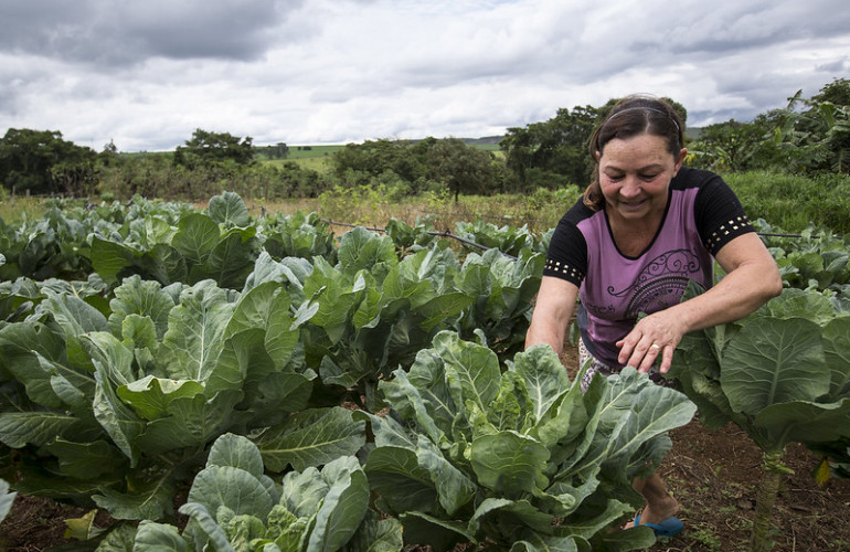 MAPA lança canal para agricultores familiares