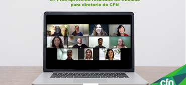 GT sobre PICS apresenta resultados para a diretoria do CFN