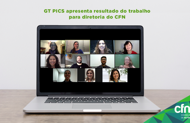GT sobre PICS apresenta resultados para a diretoria do CFN