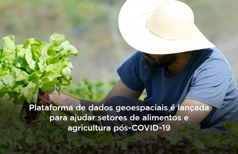 Plataforma é lançada para ajudar setores de alimentos e agricultura pós-COVID-19