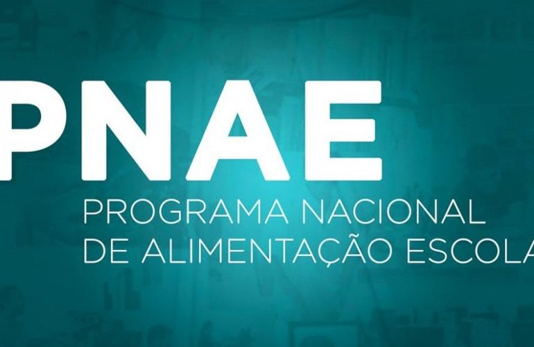 FNDE lança cartilha sobre a execução do PNAE no contexto da pandemia