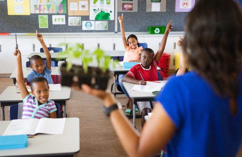 EMBRAPA lança nova turma para curso sobre hortas pedagógicas