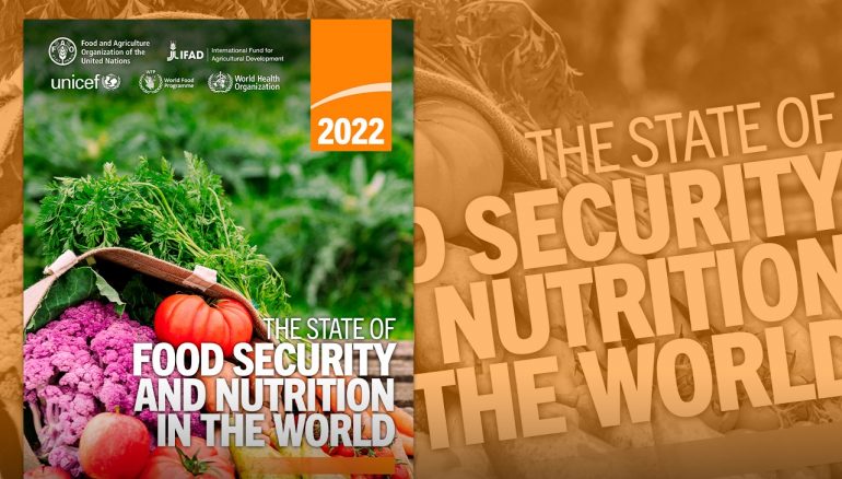 FAO: 61,3 milhões de brasileiros sofrem com insegurança alimentar FAO: 61,3 milhões de brasileiros sofrem com insegurança alimentar