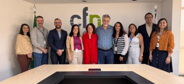 CFN e SGTES/MS alinham estratégias para especialidades em Nutrição e planejamento da força de trabalho em saúde